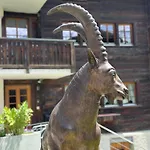 Tiny House Ibex Lägenhet