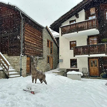 Lejlighed Tiny House Ibex *