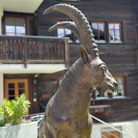 Tiny House Ibex Apartamento