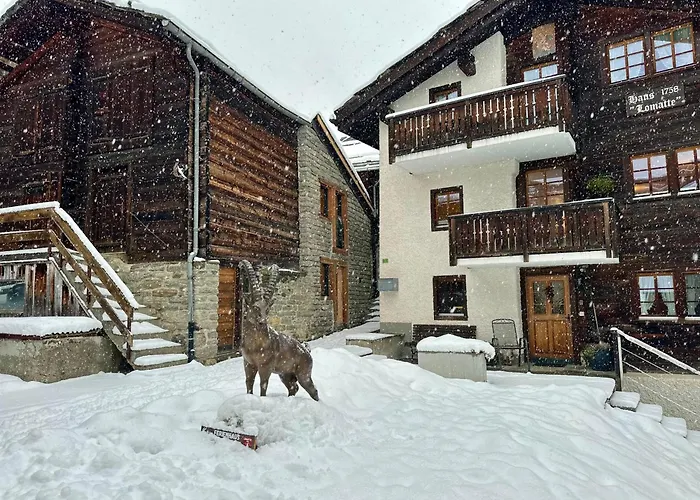 Apartment Tiny House Ibex *